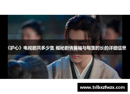 《护心》电视剧共多少集 揭秘剧情篇幅与每集时长的详细信息