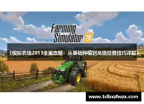 《模拟农场2013全面攻略：从基础种植到高级经营技巧详解》