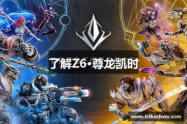 了解Z6·尊龙凯时